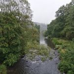 HaS_IMG_20201002_102054.jpg