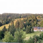 GrD_IMG_0687.jpg