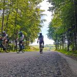 7-2_OHa_20190706_110155_b.jpg
