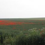 IMG_1701_klein.jpg