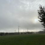 MaGoe_IMG_7945.jpg
