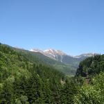 IMG_3552.JPG
