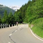 IMG_3565.JPG