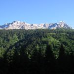 IMG_3555.JPG