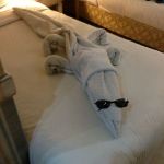 IMG_7704-P50.jpg