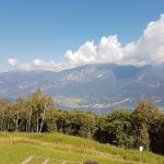 OHa_20200908_140956_b.jpg