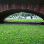 DSC06609.jpg