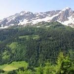 IMG_3563.JPG