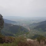 20180429_110257.jpg