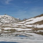 DSC_0430.JPG