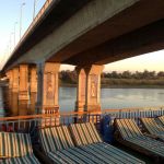 IMG_7733-P50.jpg