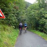 AHoe_042_18-09-07_Waldele.JPG