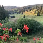 GrD_IMG_0689.jpg