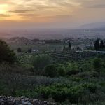 IMG-20180429-WA0016.jpg