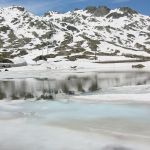 IMG_3569.JPG