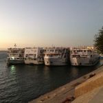 IMG_7622-P50.jpg