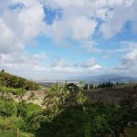 20180430_090831.jpg