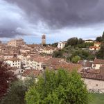 IMG_6812.jpg
