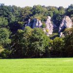DSC05168-2.jpg
