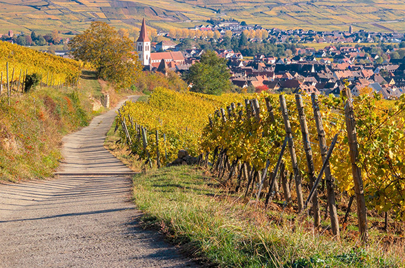 Alsace II 587x389